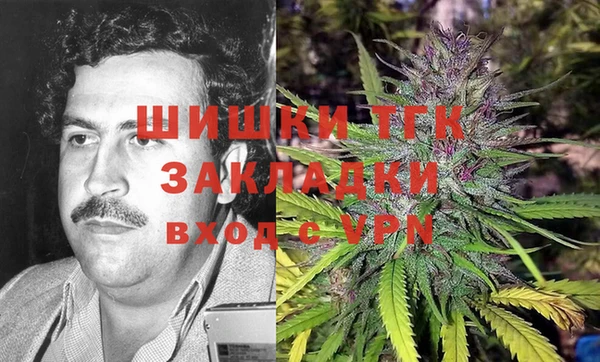 прущие грибы Аркадак