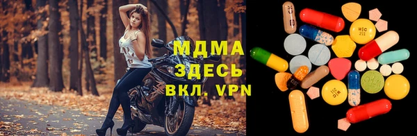 прущие грибы Аркадак