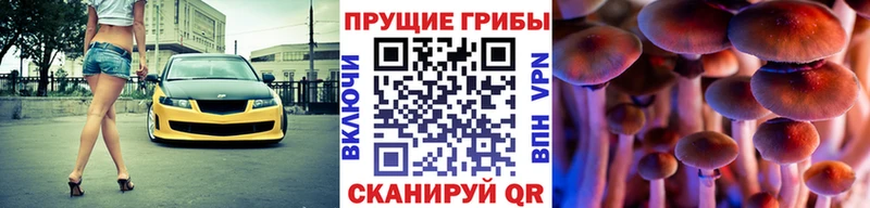 Купить где  Колпашево  Псилоцибиновые грибы Psilocybine cubensis 
